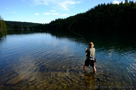 A man fly fishes on the Clearwater River.