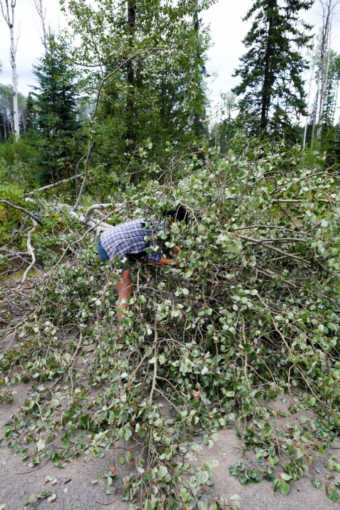 A woman clears the road from fallen tree debris along a BC highway.